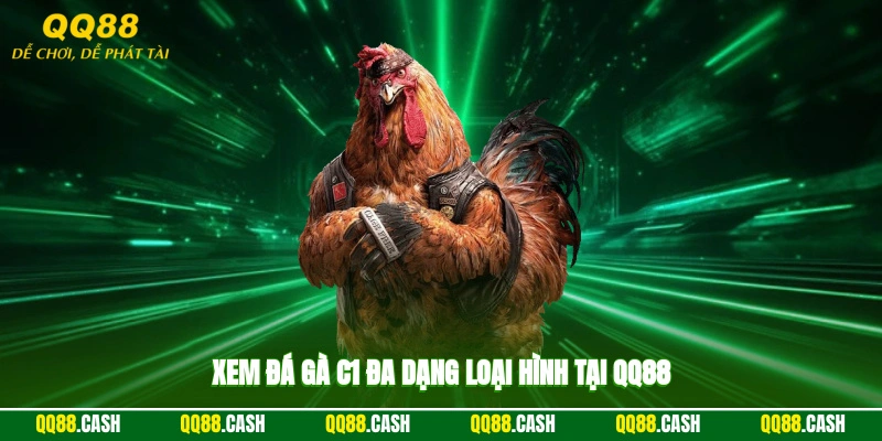 Xem đá gà c1 đa dạng loại hình tại QQ88